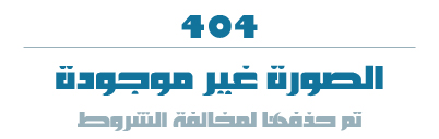      2011    